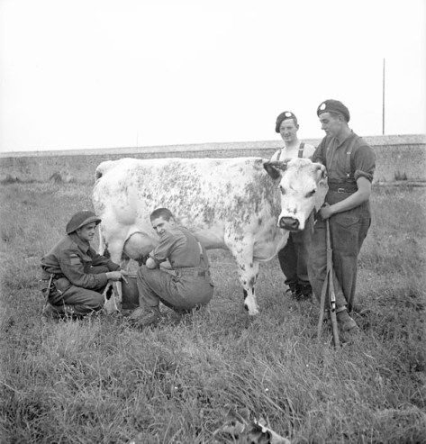 Brettelville-Orgueilleuse Rfn B Brueyere, DJ Briere, WJ Simpson, HG Payne 20June44