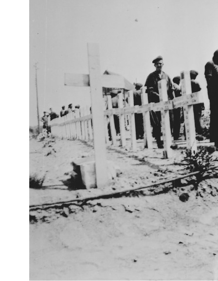 D-Day QOR Graves Maison De Queen's own June 44